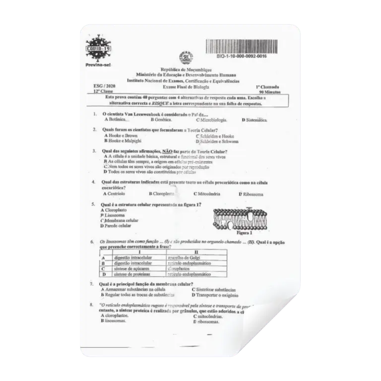 Exames de Biologia 12ª Classe pdf.